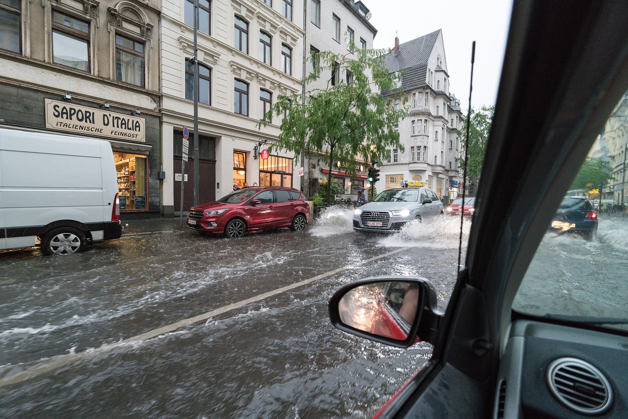 cologne, flood, nature-2816985.jpg